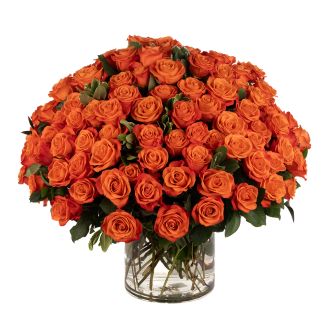 100 Orange Roses