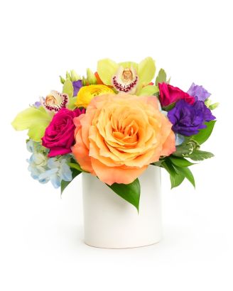 Colorburst Blooms