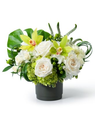 Green Sheen 