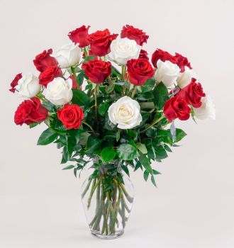 Double the Dozens 12 = 24 Assorted Roses