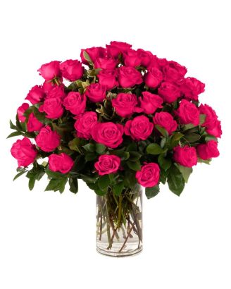Double the Dozens 24 = 48 Hot Pink Roses