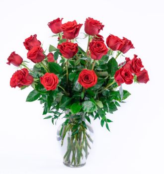 Double the Dozens  12 = 24 Red Roses