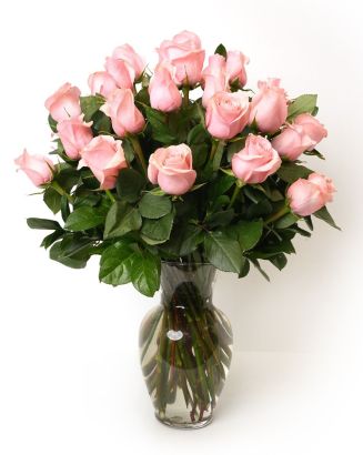 Double the Dozens 12 = 24 Soft Pink Roses