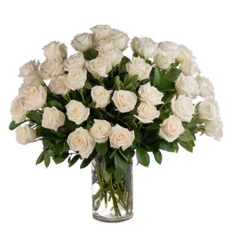 Double the Dozens 24 = 48 White Roses