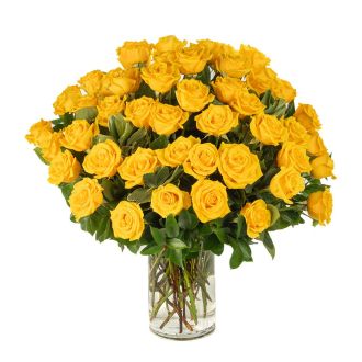 Double the Dozens 24 = 48 Yellow Roses