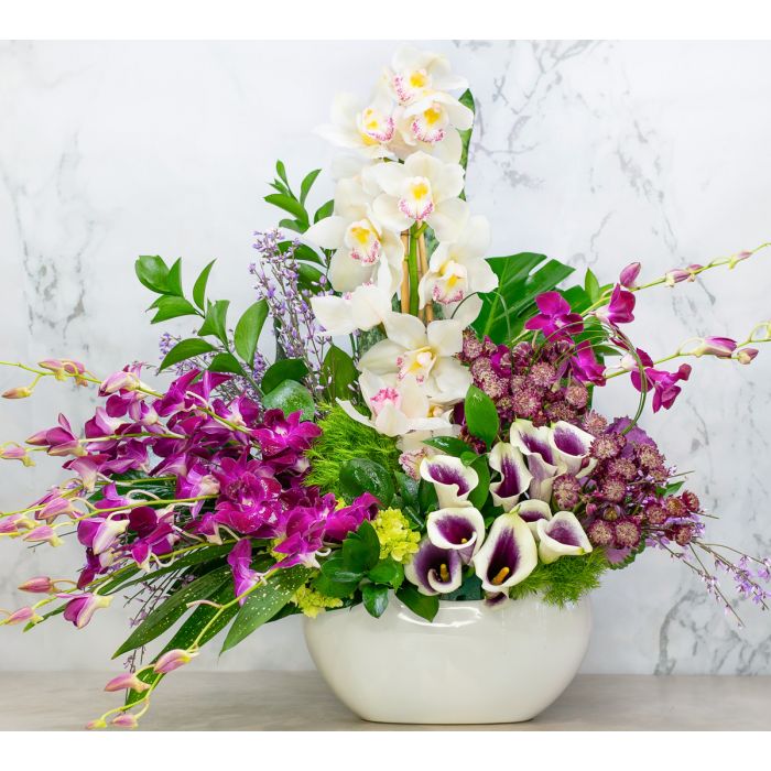 Our sophisticated and enchanting collection of mini calla lillies, white cymbidum, plum dendrobiums, hydrangeas, and ginestra purple half moons in pearl ceramic vase.